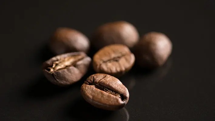 coffee bean
